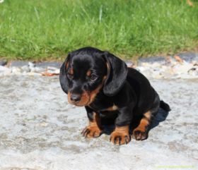 Alex 6 Wochen III.jpg